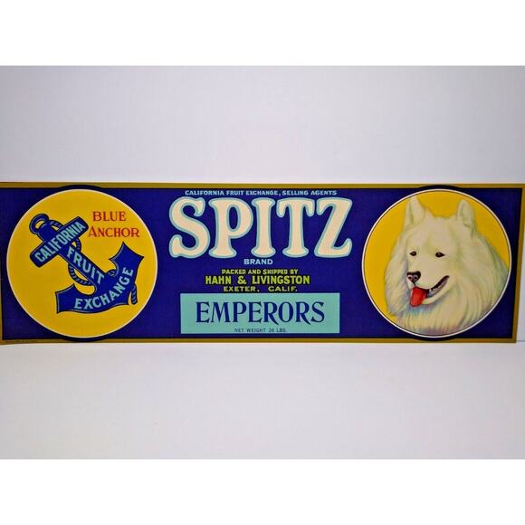 Spitz Dog Crate Label Blue Anchor California Fruit 1940s Vintage White Puppy - Picture 1 of 4